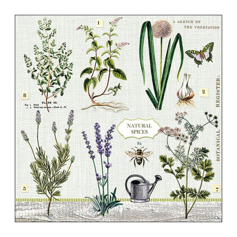 Guardanapo HERBS GARDEN FSC MIX 30x30cm