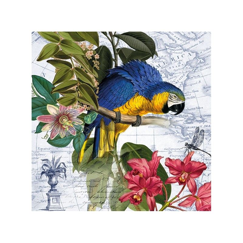 Guardanapo Ara 30x30cm