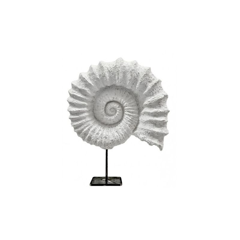 AMONITE FÓSSIL COM SUPORTE 30x30x10 /  10x10X13 CM