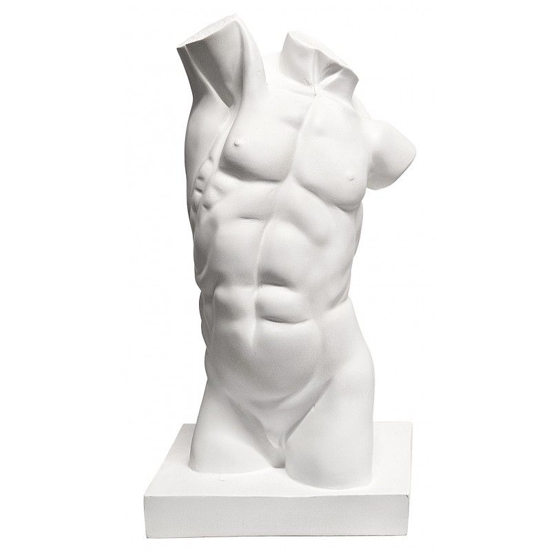 TORSO MASCULINO 43,5 CM