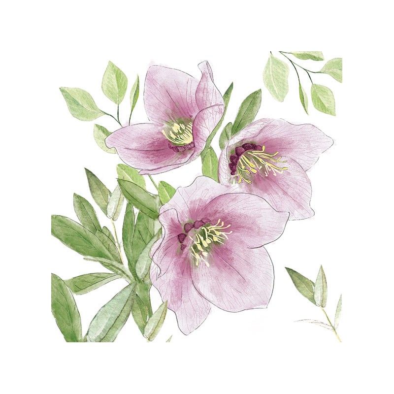 Guardanapo CLASSIC HELLEBORUS 30x30cm