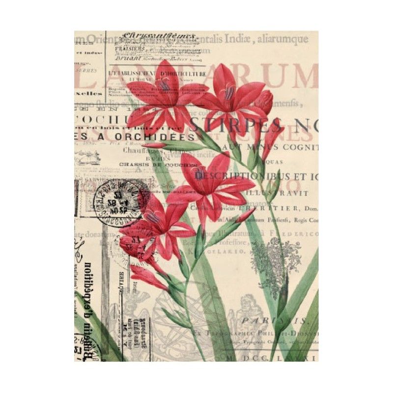 Papel de Arroz FLORES ROJAS 30x41cm