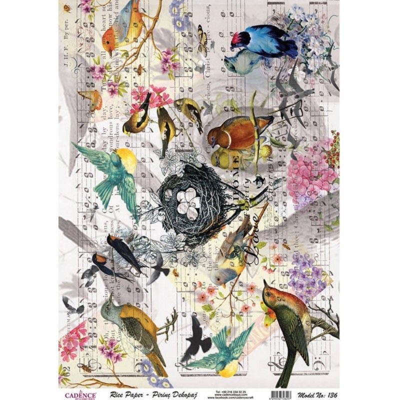 Papel de Arroz PARTITURAS AVES 30x41cm