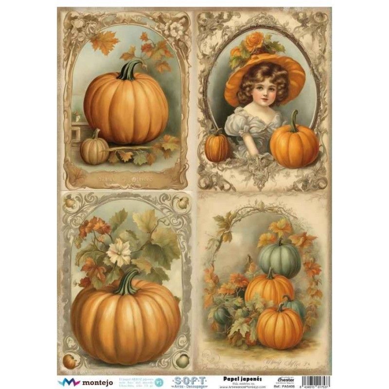 Papel de Arroz Soft A3 30x41cm