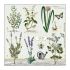 Guardanapo HERBS GARDEN FSC MIX 30x30cm