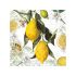 Guardanapo Lemon 30x30cm