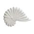 CONCHA PEQUENA 20x13x3,5 CM