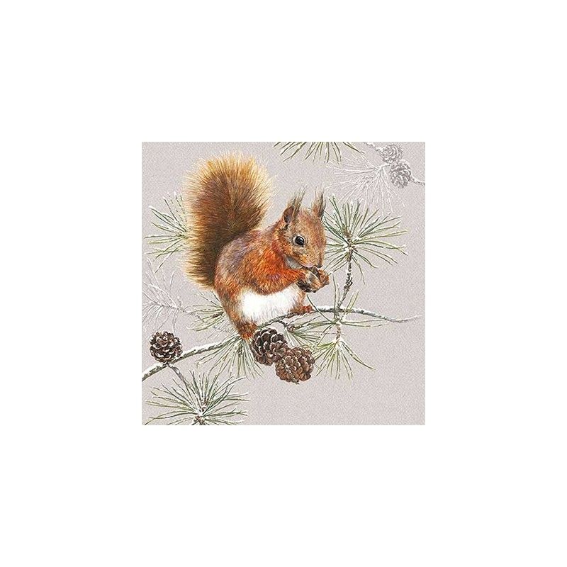 Guardanapo Squirrel In Winter 30x30cm