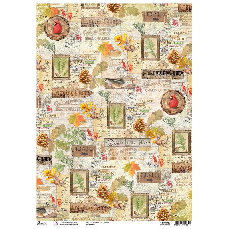 Rice Paper A3 Piuma Boreal nature