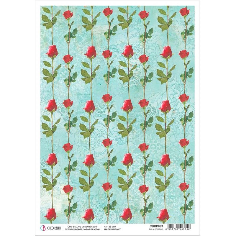 Rice Paper A4 Baila Conmigo