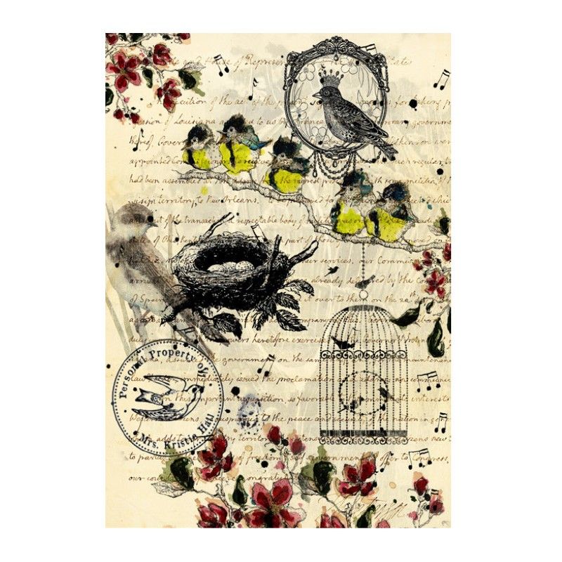 Papel de Arroz TEXTO Y PÁJAROS 30x41cm