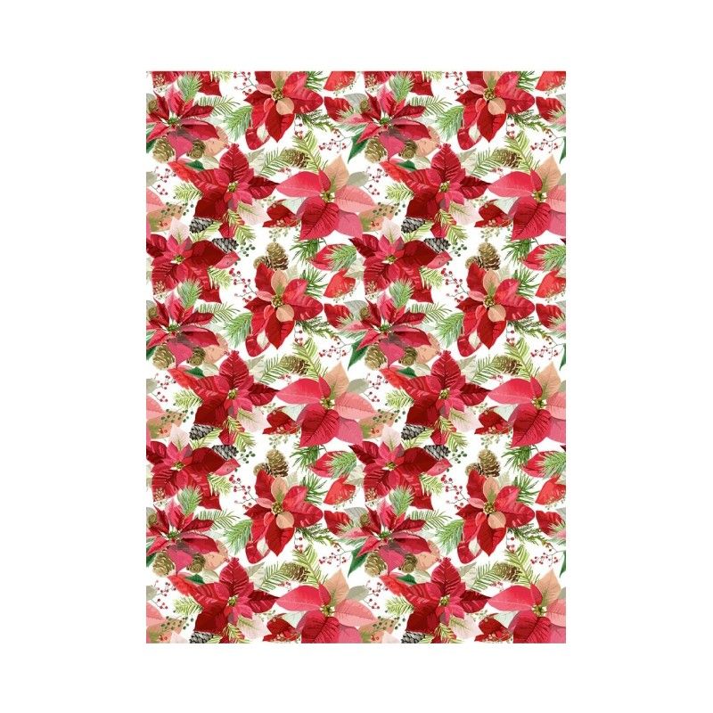 Papel de Arroz POISENTIA 30x41cm