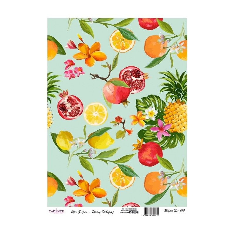 Papel arroz Cadence A3 Nº 619