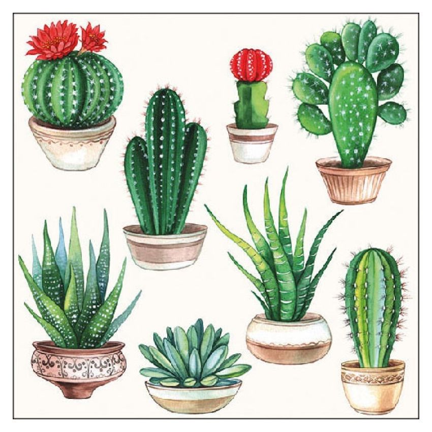 Guardanapo Cactus 30x30cm