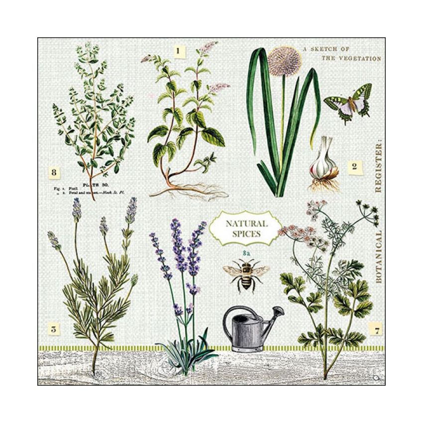 Guardanapo HERBS GARDEN FSC MIX 30x30cm