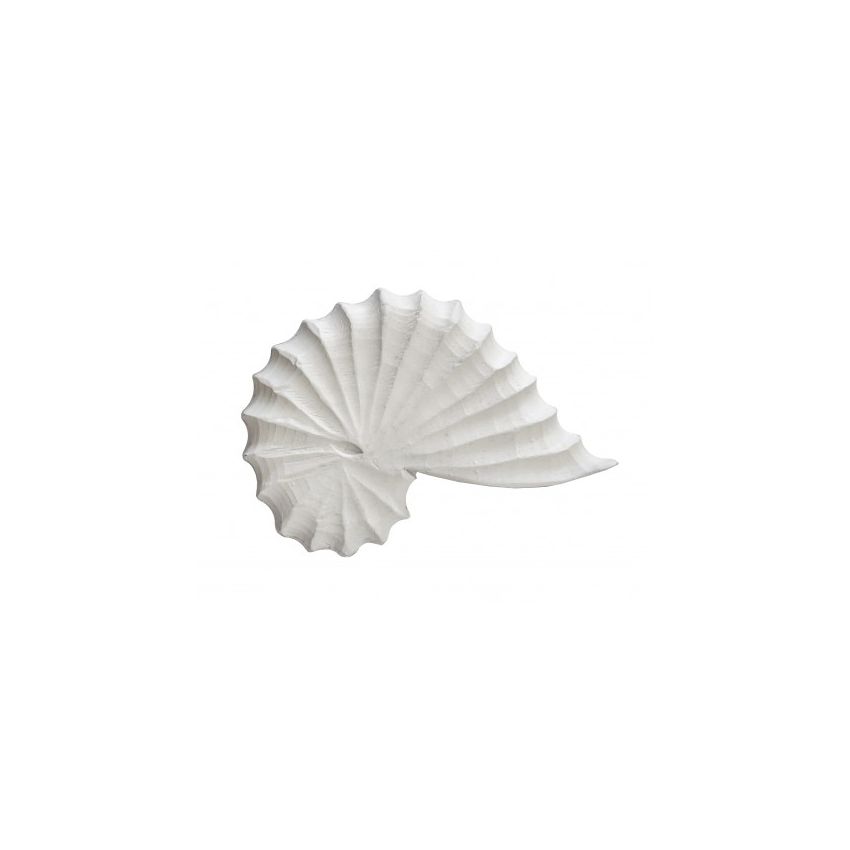 CONCHA PEQUENA 20x13x3,5 CM