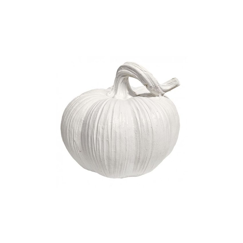 ABÓBORA RALADA CHATA 13x11 CM