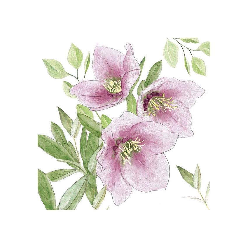 Guardanapo CLASSIC HELLEBORUS 30x30cm