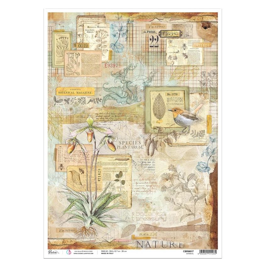Rice Paper A3 Botanical