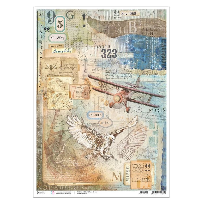 Rice Paper A3 Study of Flight