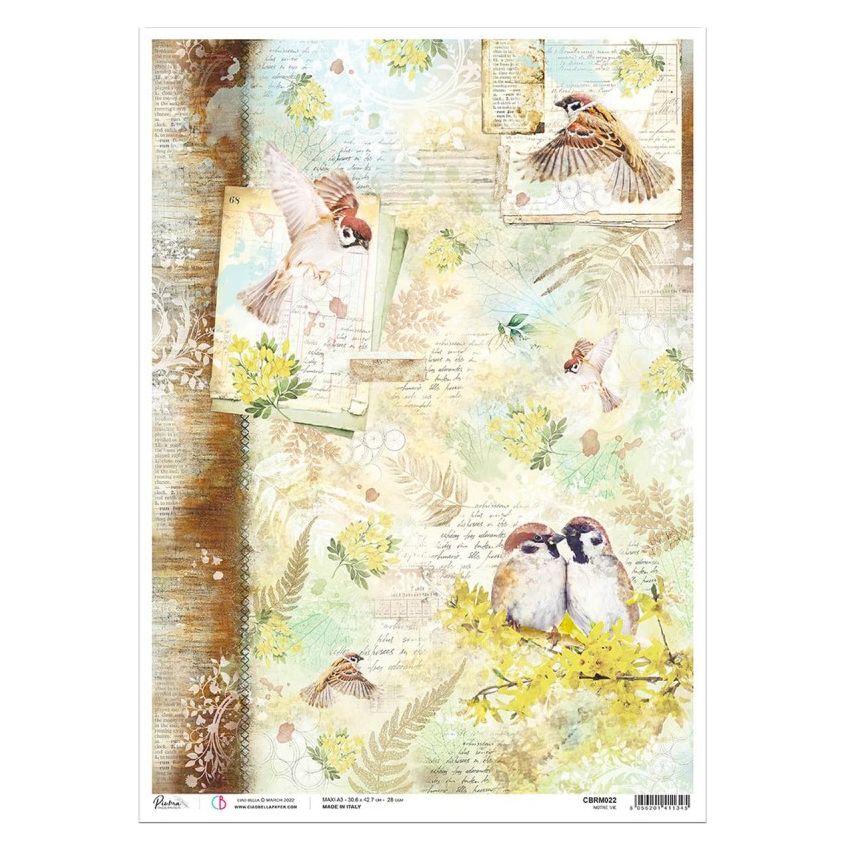 Rice Paper A3 Notre Vie