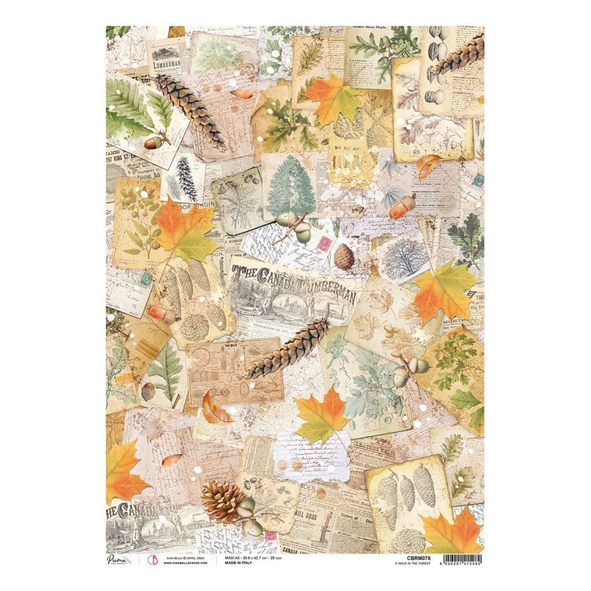 Rice Paper A3 Piuma A walk in the forest