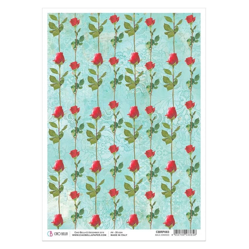 Rice Paper A4 Baila Conmigo