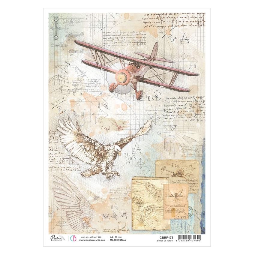 Rice Paper A4 Study of flight