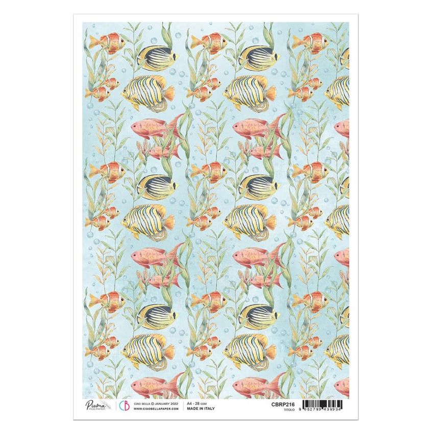 Rice Paper A4 Fishes