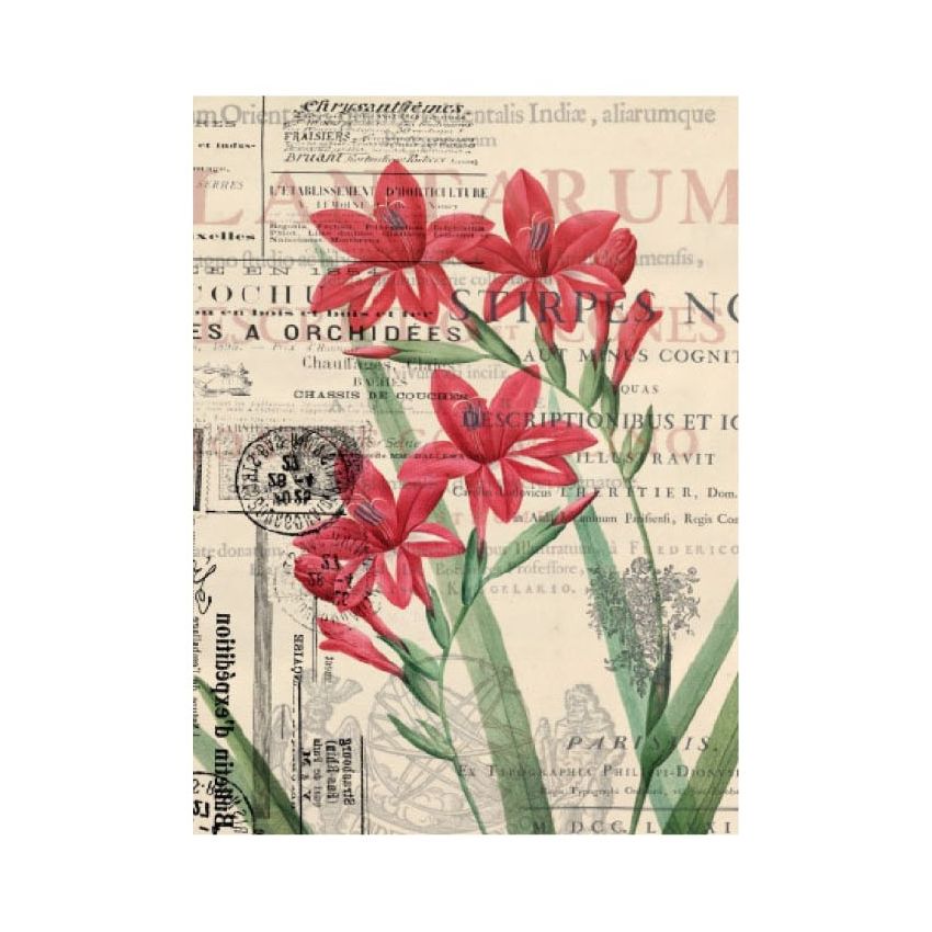 Papel de Arroz FLORES ROJAS 30x41cm