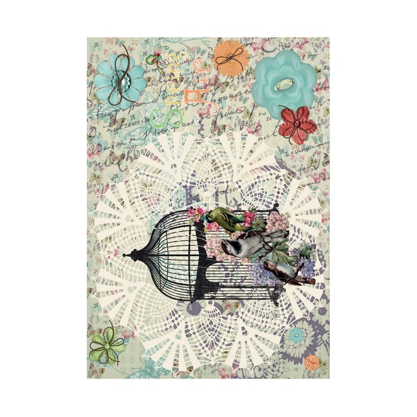 Papel de Arroz JAULA SCRAP 30x41cm