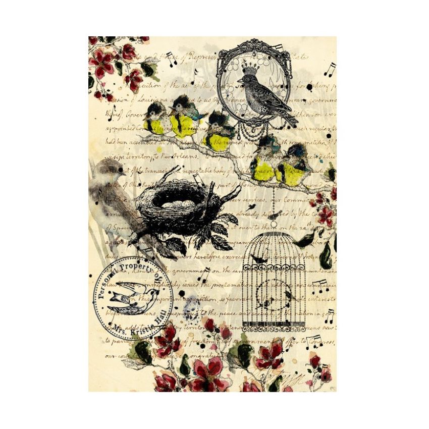 Papel de Arroz TEXTO Y PÁJAROS 30x41cm