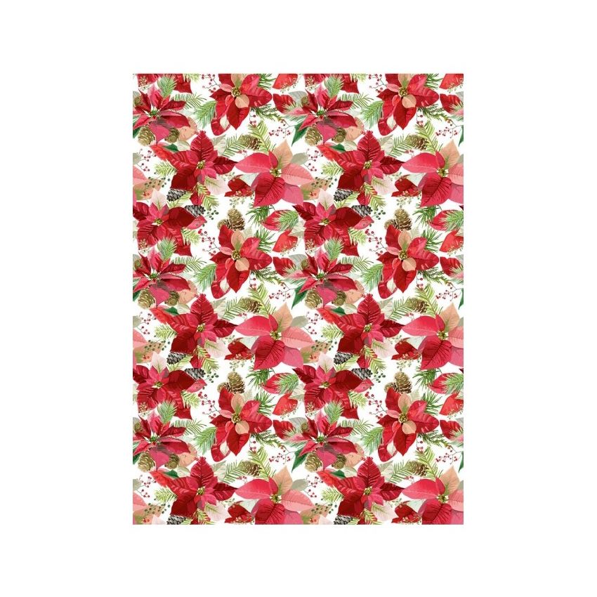 Papel de Arroz POISENTIA 30x41cm