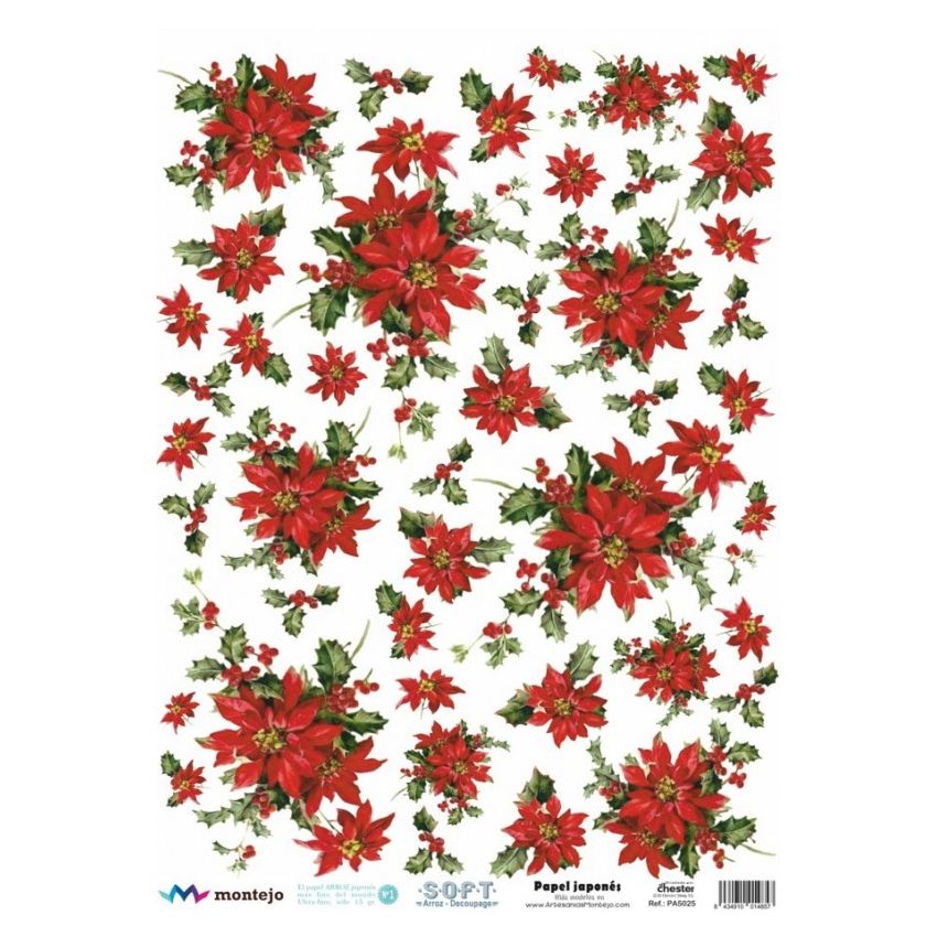 Papel de Arroz Soft A3 30x41cm