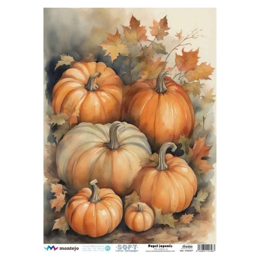 Papel de Arroz Soft A3 30x41cm