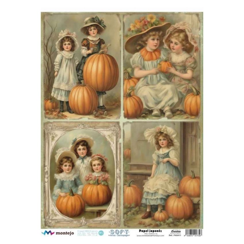 Papel de Arroz Soft A3 30x41cm